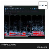 Hit'n'mix Limited RipX DeepAudio