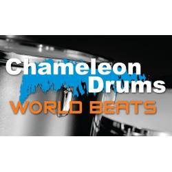 Chameleon Drums 2 World Beats